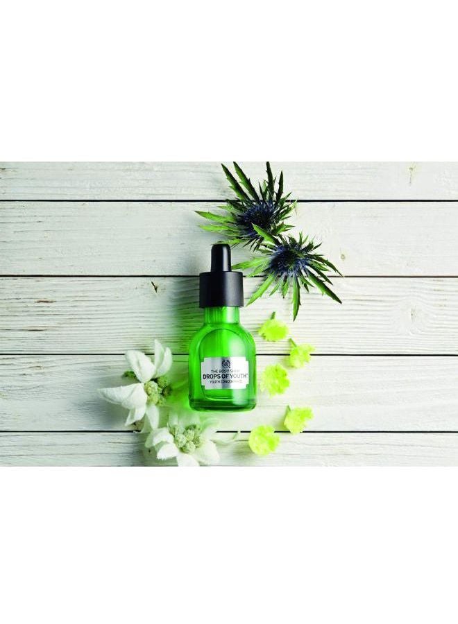 THE BODY SHOP - Drops Of Youth Concentrate 30ml - Image 1