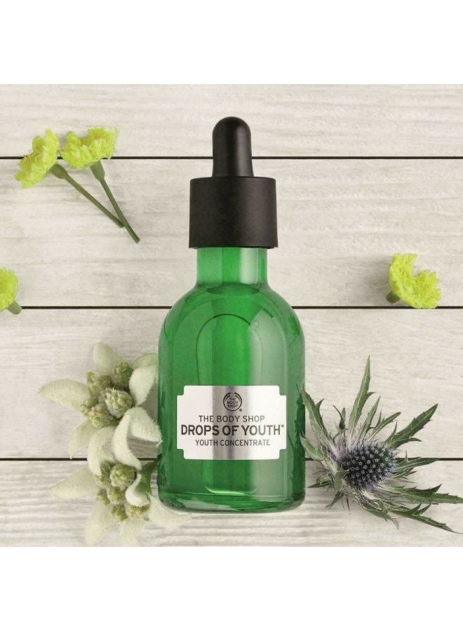 THE BODY SHOP - Drops Of Youth Concentrate 30ml - Image 1