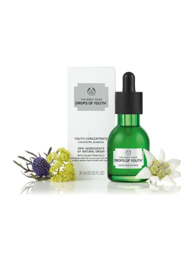 THE BODY SHOP - Drops Of Youth Concentrate Face Serum 30ml - Image 1
