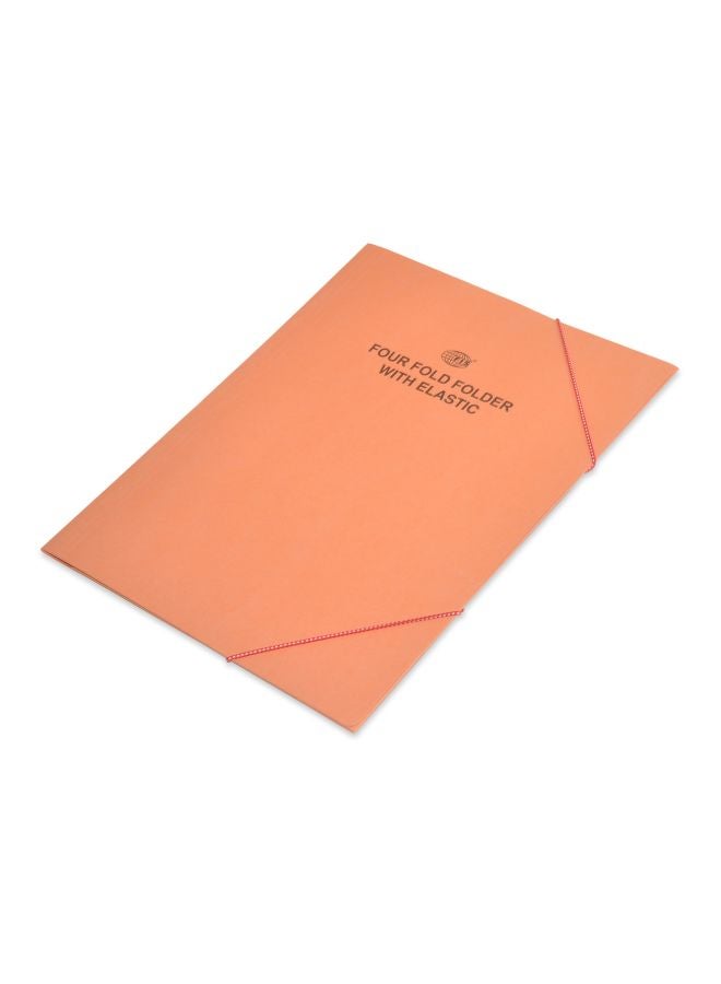 إف اي أس  مجلد بأربع طيات مع أشرطة مطاطية، من 40 قطعة برتقالي/أسود - Image 1
