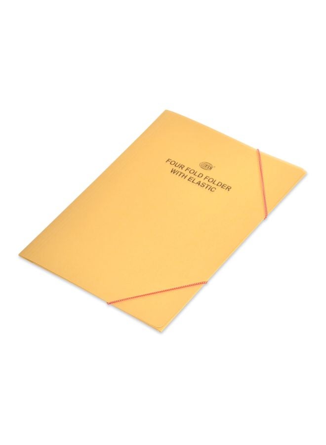 إف اي أس  مجلد بأربع طيات مع أشرطة مطاطية، من 40 قطعة أصفر/أسود - Image 1