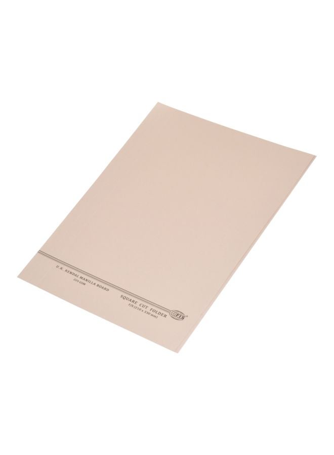 إف اي أس  حافظة ملفات مربعة الشكل من 100 قطعة فاتح - Image 1