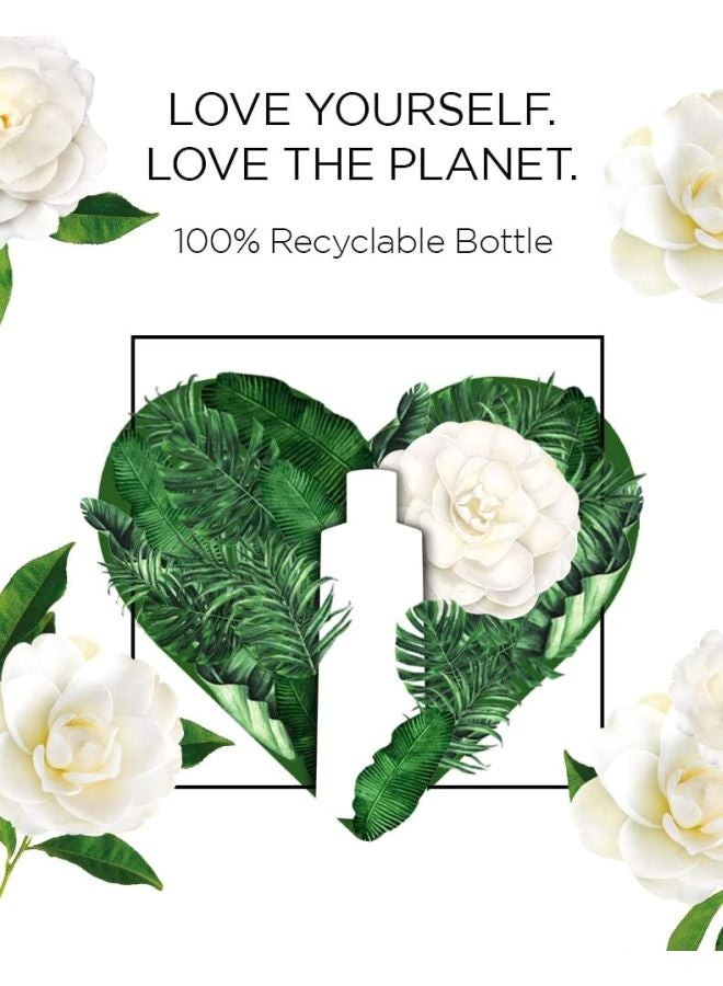 Lux - Botanicals Skin Detox Camellia And Aloe Vera Shower Gel 250ml - Image 1