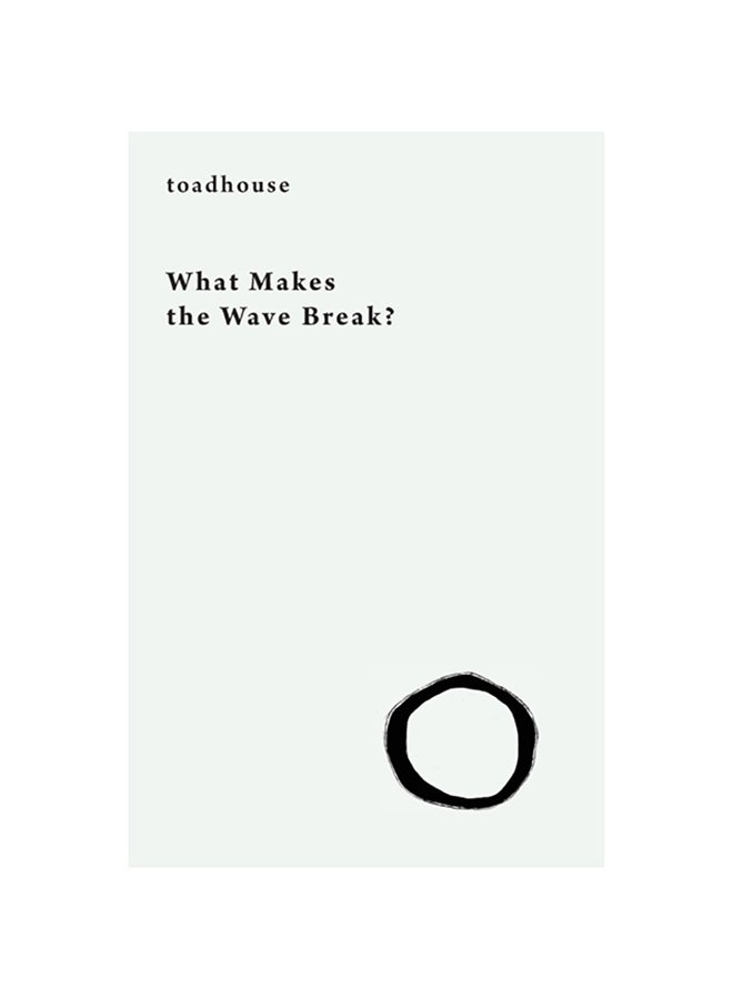 What Makes the Wave Break? paperback english - 2020