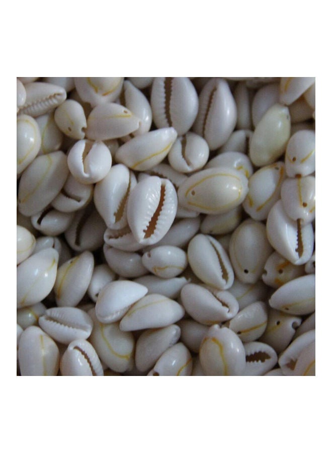 100Pcs Shell Cowry with Gap DIY Bracelet Necklace Anklet Ornament Jewelry Decor multicolor 20*10*20cm  - Image 5