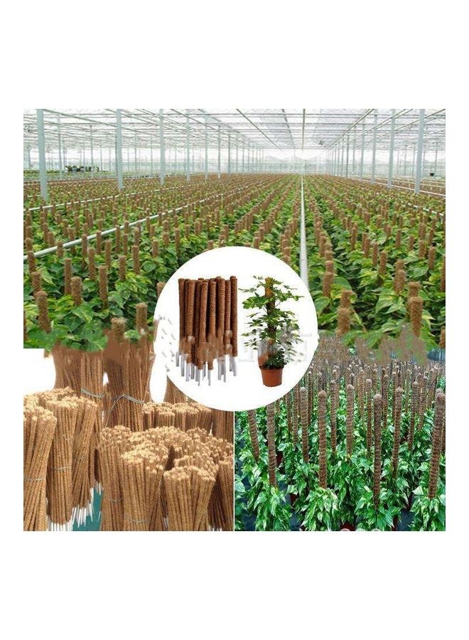 30/40/50cm Coir Moss Totem Pole Creeper Plant Support Climbing Extension Stick Brown 20*10*20cm - Image 4