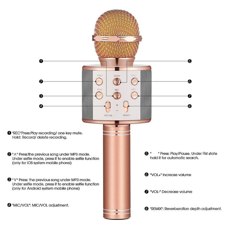 Generic - WS-858 Wireless Handheld Karaoke Microphone PAA2385B_P Black - Image 1