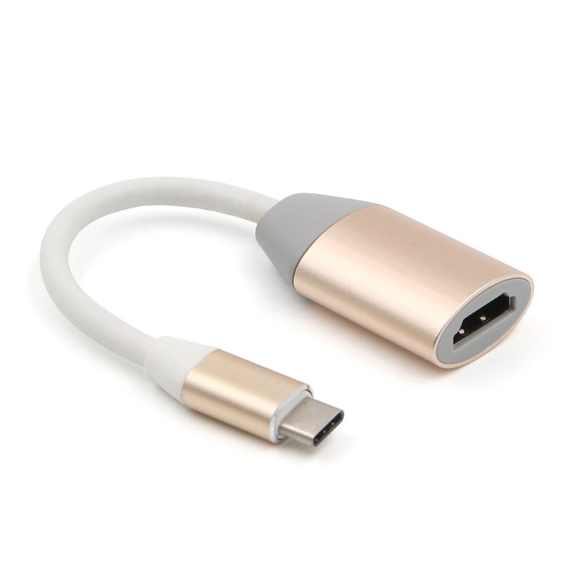 Generic USB3.1 TYPE-C Turns HDMI Transverter PA4814S_P Silver  - Image 4