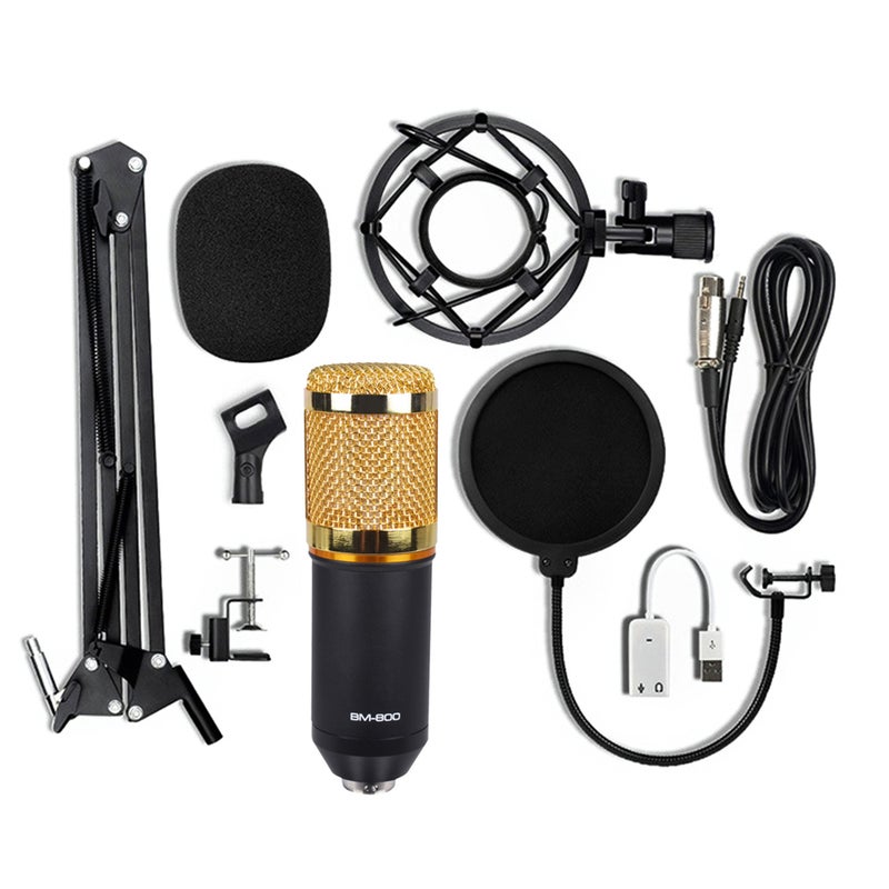 BM-800 Condenser Microphone Set V6949B-G_P Black/Gold - Image 5