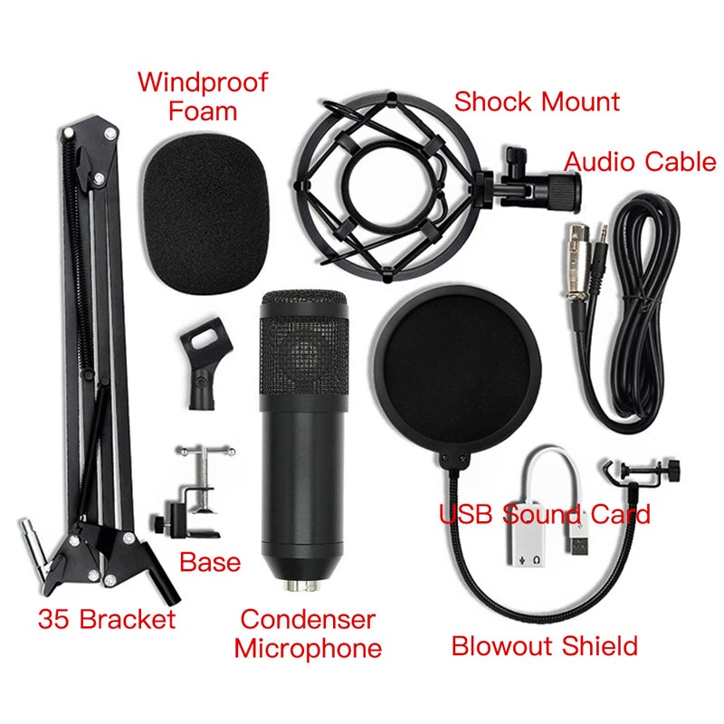 BM-800 Condenser Microphone Set V6949B-G_P Black/Gold - Image 4