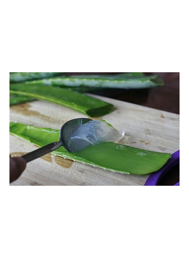 كازيما مجموعة جل الألوفيرا وزيت الخروع مكونة من قطعتين 100ملليلتر - Image 2