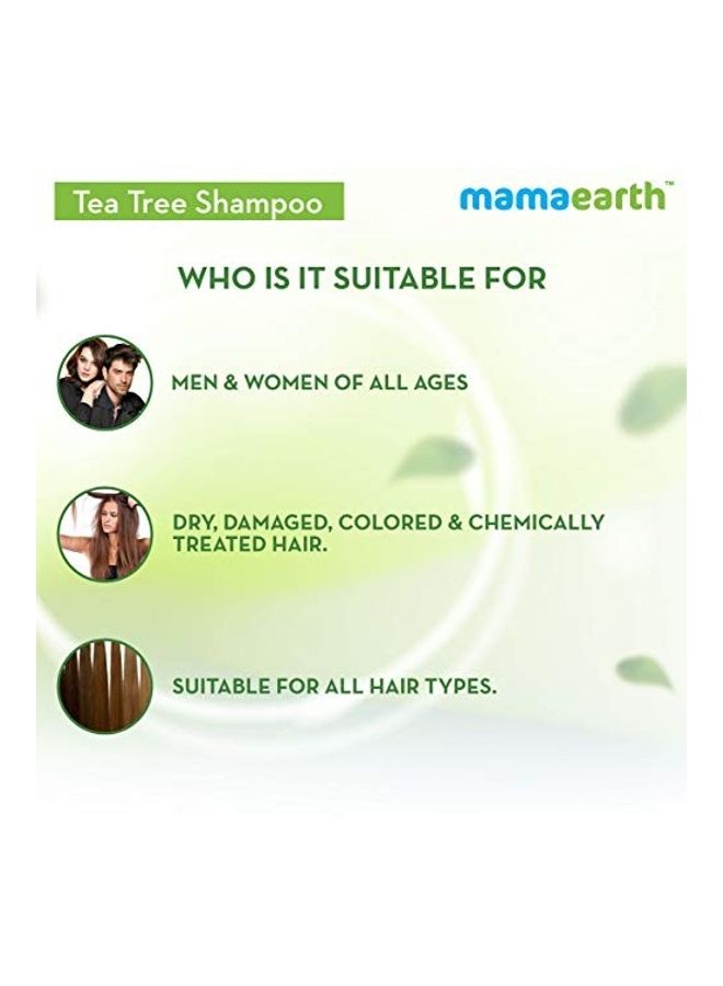 Mamaearth Tea Tree Anti Dandruff Shampoo 250ml  - Image 4