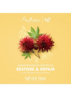 SheaMoisture Strengthen And Restore Shampoo And Conditioner With Treatment Masque 1xShampoo (16.3 ), 1xConditioner (13), 1xTreatment Masque (12)  - Image 5