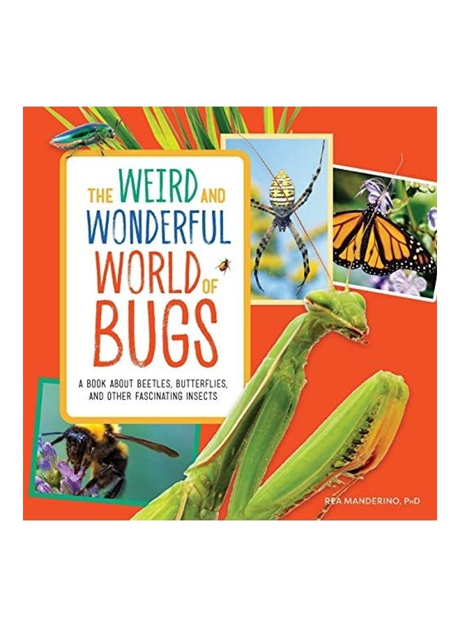 The Weird And Wonderful World Of Bugs paperback english