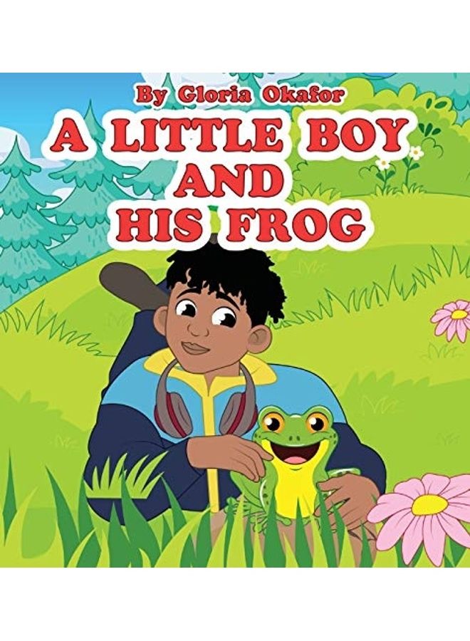 A Little Boy And His Frog hardcover english - Image 1