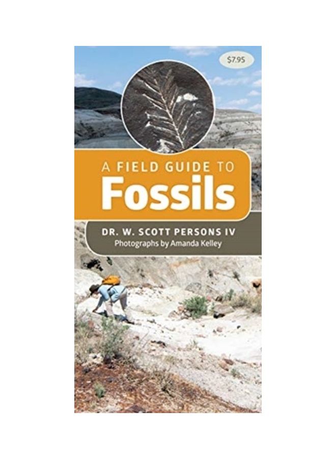 A Field Guide to Fossils paperback english - Image 3
