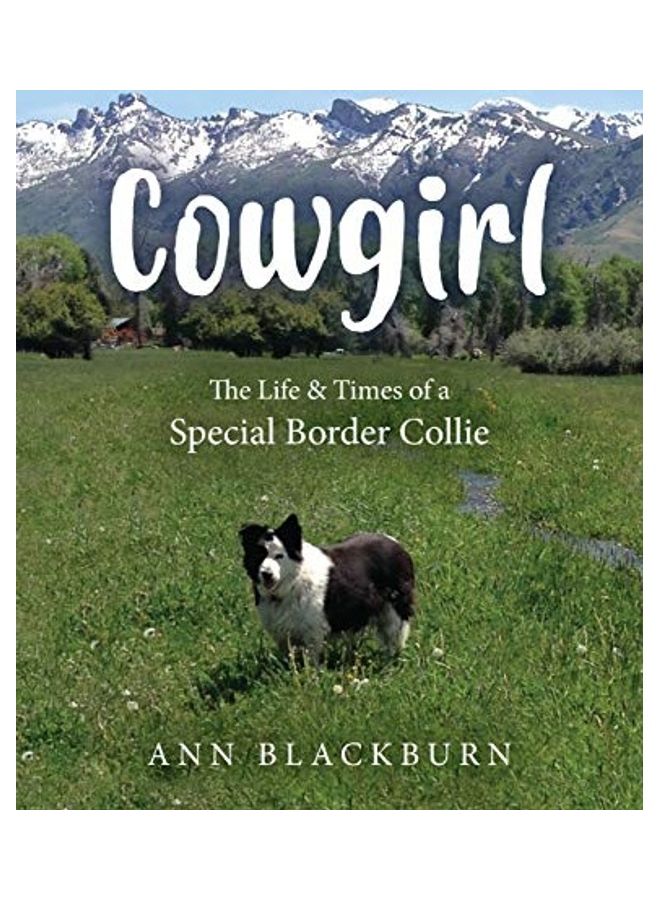 Cowgirl: The Life And Times Of A Special Border Collie Paperback English by Ann Blackburn  - Image 1