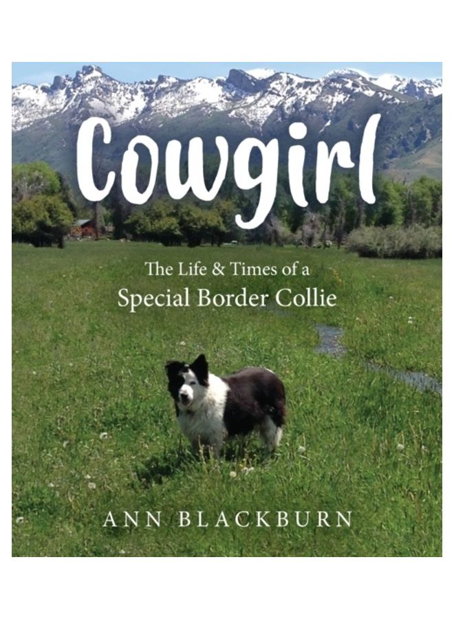 Cowgirl: The Life And Times Of A Special Border Collie Paperback English by Ann Blackburn  - Image 3