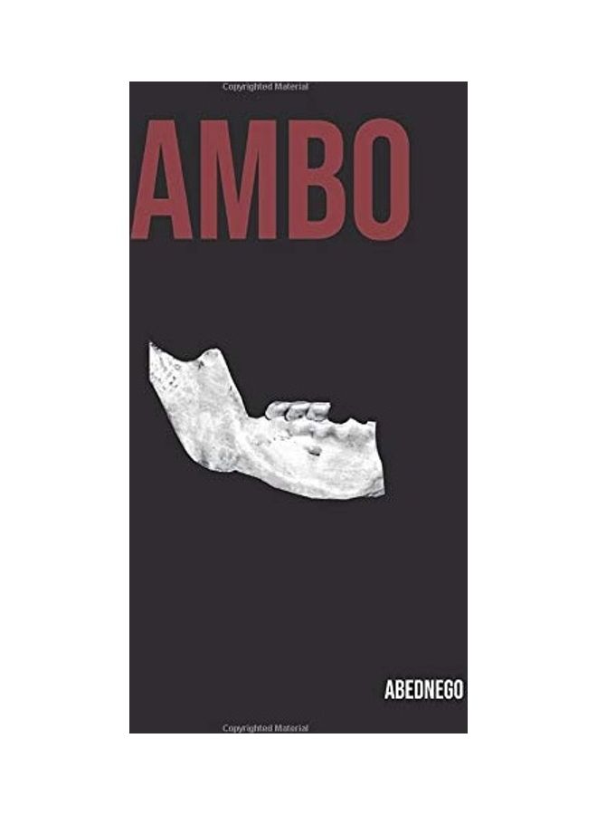 Ambo paperback english