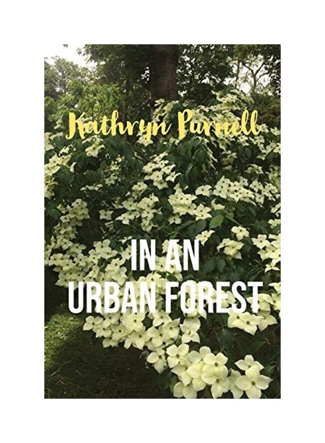 In an Urban Forest paperback english