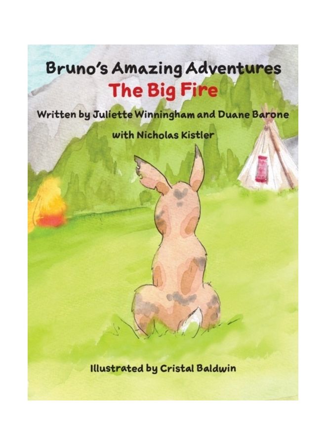 The Big Fire Hardcover English by Juliette Winningham - Image 3