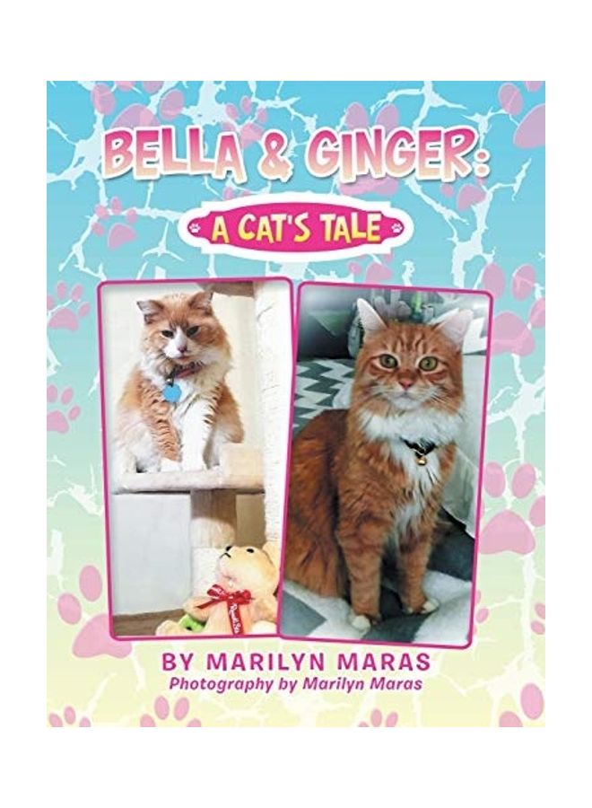 Bella & Ginger: A Cat's Tale paperback english