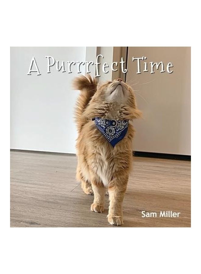 A Purrrfect Time paperback english - Image 2