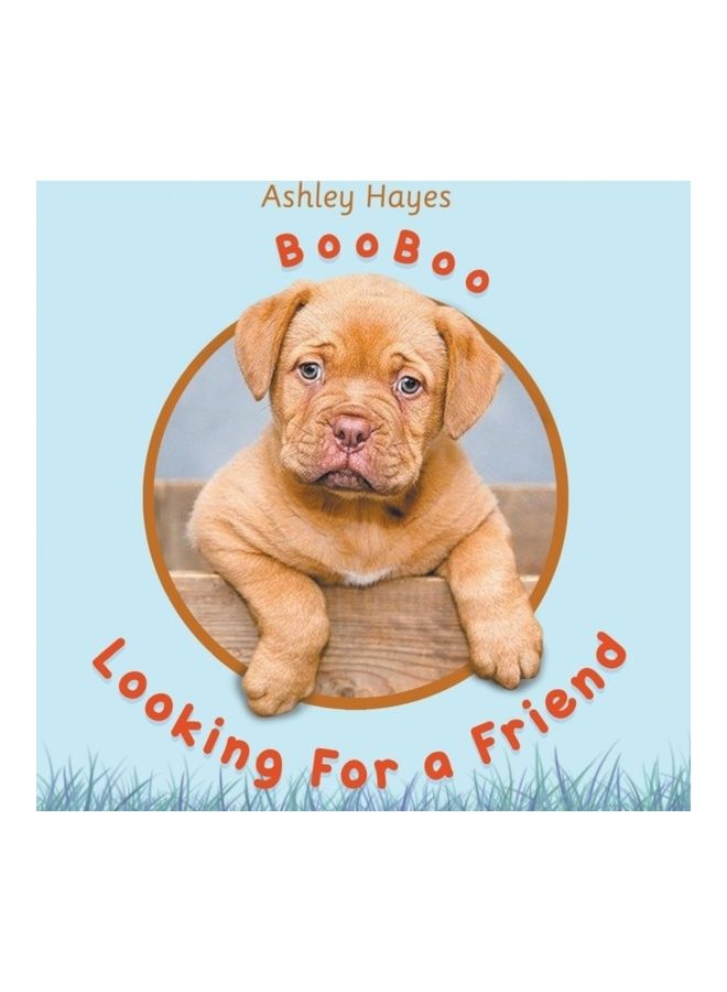 Booboo Looking For A Friend paperback english - Image 3