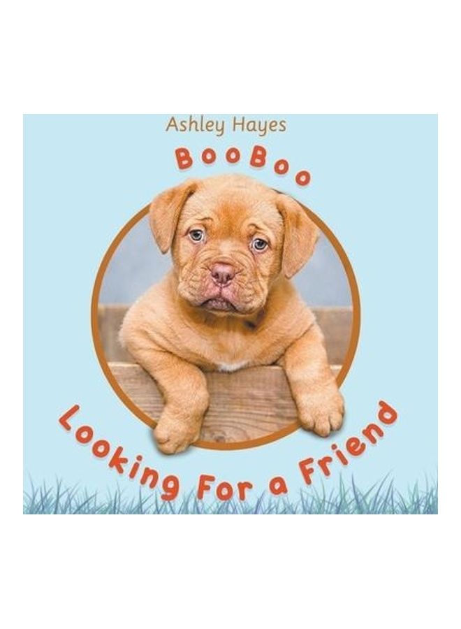 Booboo Looking For A Friend paperback english - Image 2
