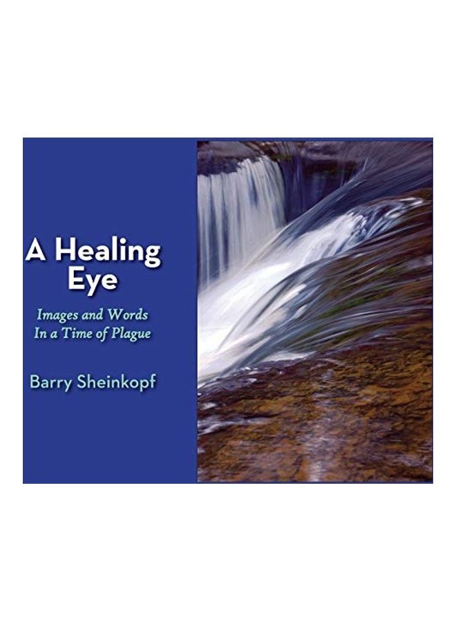 A Healing Eye : Images And Words In A Time Of Plague Hardcover English by Barry Sheinkopf 