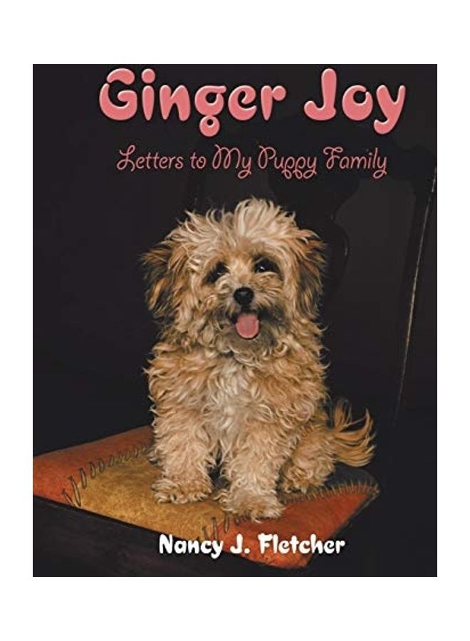 Ginger Joy paperback english  - Image 1