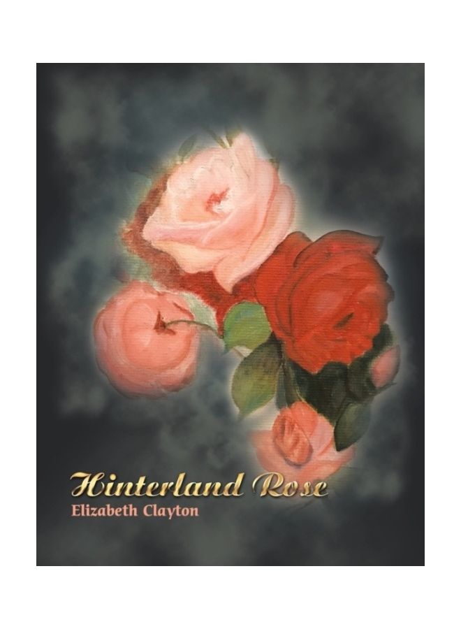 Hinterland Rose paperback english - Image 3