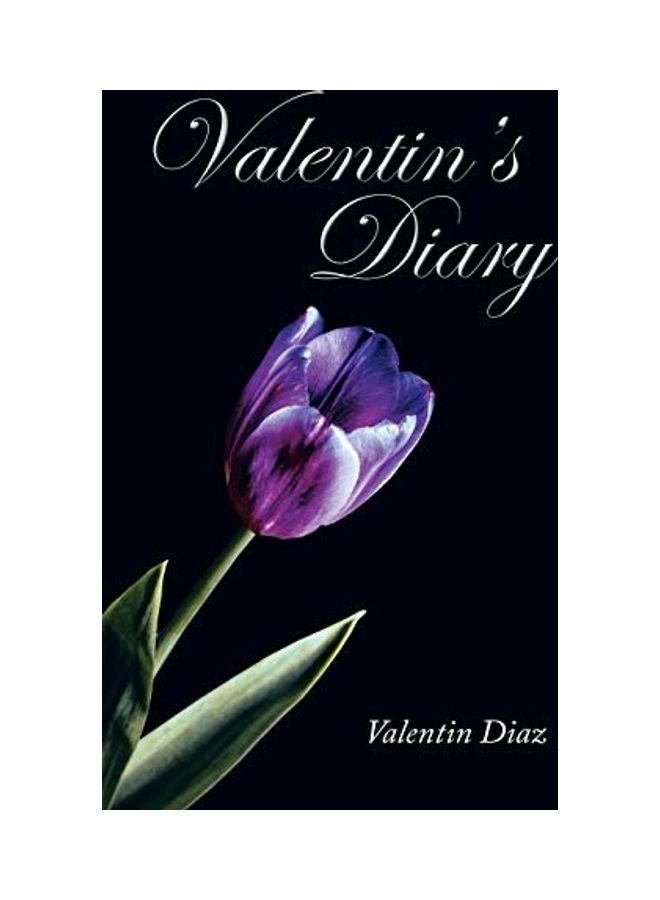 Valentin's Diary Paperback English by Valentin Diaz