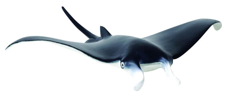 CollectA Manta Ray Animal Figure 5×5×1inch - Image 3