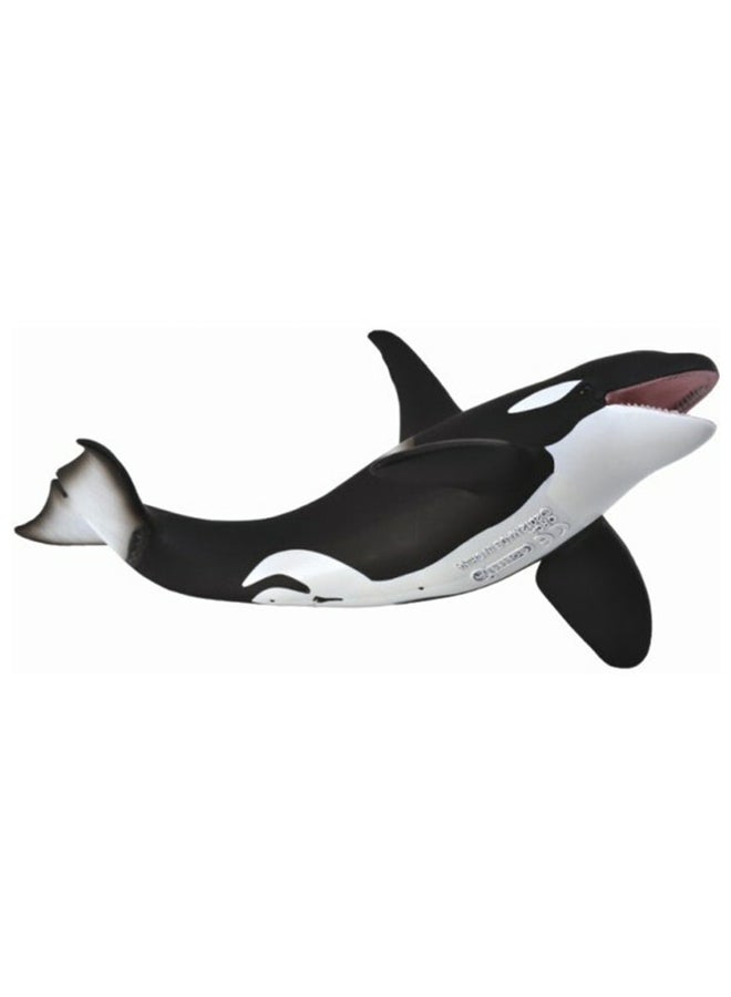 CollectA Orca Whale Animal Figure 19×8×8cm  - Image 1