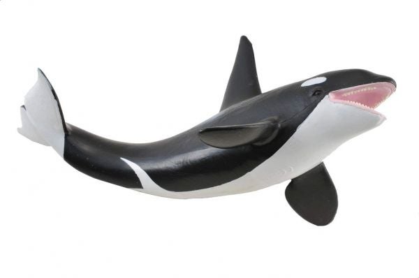 CollectA Orca Whale Animal Figure 19×8×8cm  - Image 2