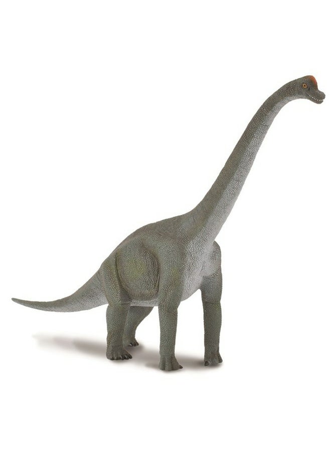 CollectA Brachiosaurus Animal Figure 19×3cm  - Image 1