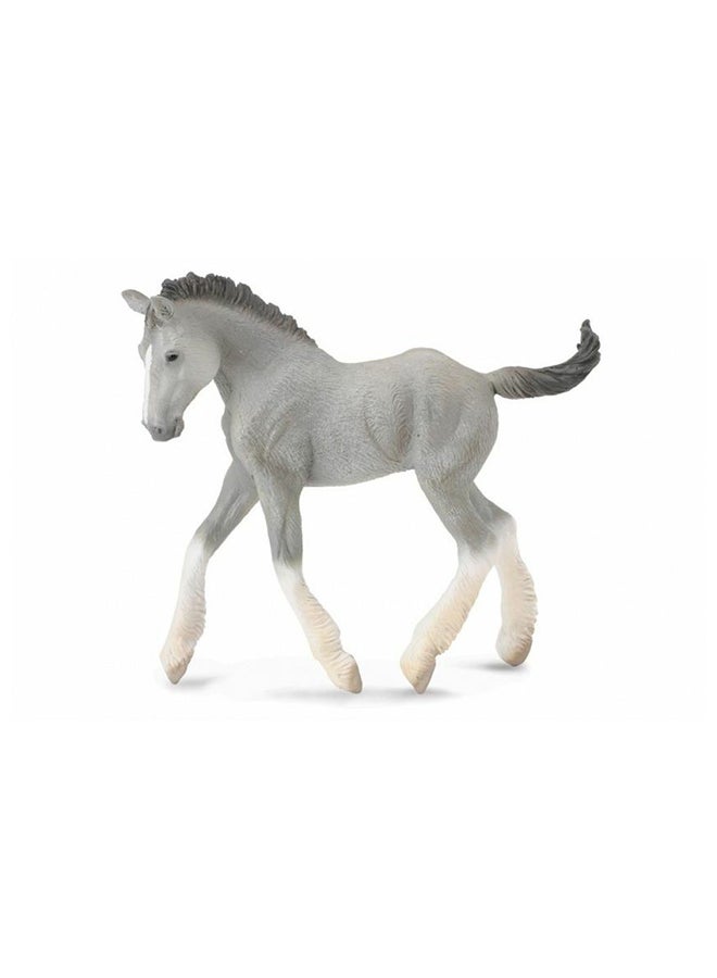 CollectA Shire Horse Foal 88575 Miniature Animal Figure 10.2x9.5cm