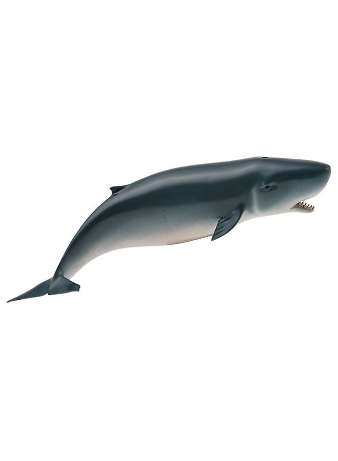 CollectA Pygmy Sprm Whale 88653 Minitature Animal Figure 15.2x3.8cm