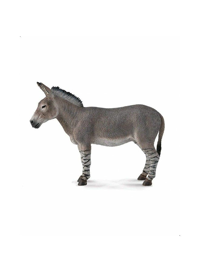 CollectA African Wild Ass 88664 Minitature Animal Figure