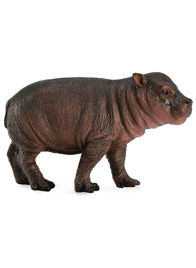 CollectA Pygmy Hippopotamus Calf 88687  Minitature Animal Figure 40x20x60cm 