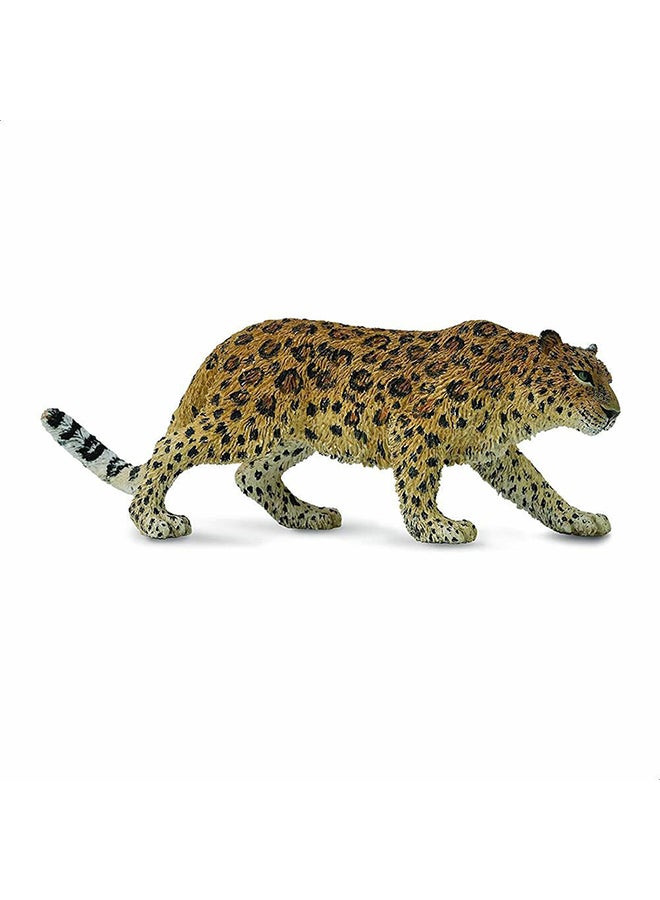 CollectA Amur Leopard 88708  Minitature Animal Figure 4.3x2.5x8.9cm