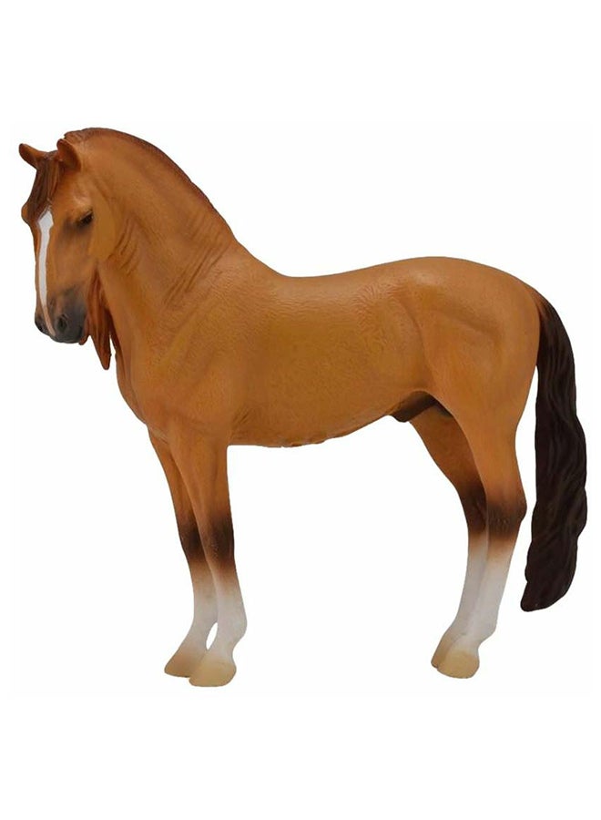 CollectA Campolina Stallion 88701  Minitature Animal Figure
