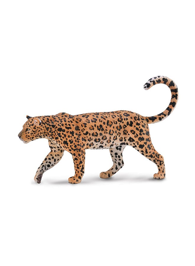 CollectA African Leopard 88866 Miniature Animal Figure 13x8cm