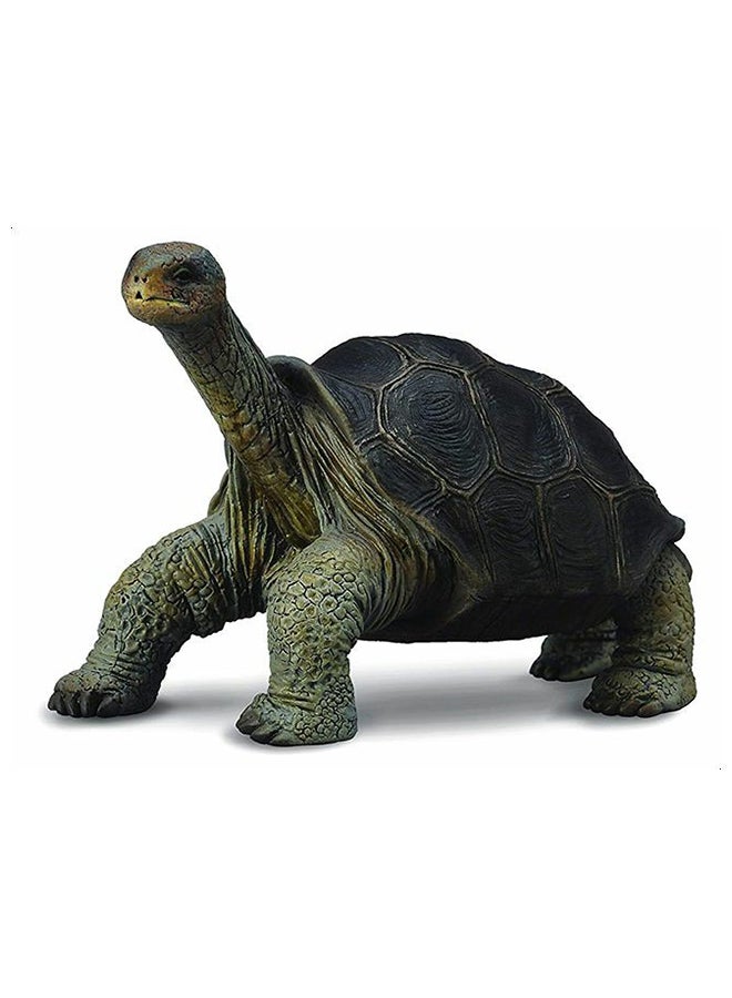 CollectA Pinta Island Tortosie 88619 Miniature Animal Figure 