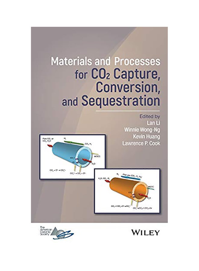 Materials And Processes For Co2 Capture, Conversion, And Sequestration Hardcover English by Lan Li - 38543 