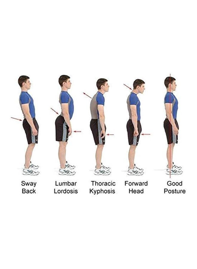 Royal Posture Energizing Posture Support - Image 3
