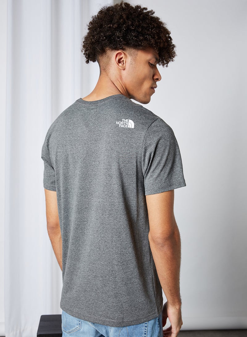 THE NORTH FACE - Logo T-Shirt TNF Medium Grey Heather/Red - Image 1