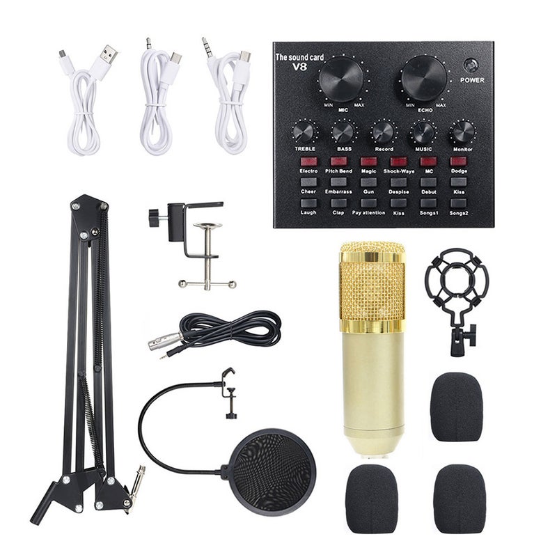 Generic Multi-functional Live Sound Card + Microphone Set Gold  - Image 1