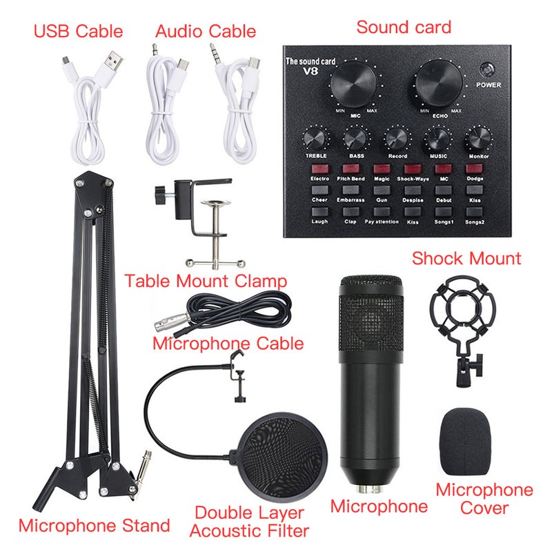 Generic Multi-functional Live Sound Card + Microphone Set Gold  - Image 2